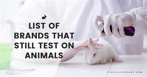 is clinique animal testing.